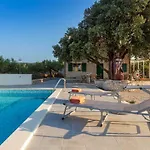 Dubrava - Heated Pool & Olive Grove Retreat I Brac Island