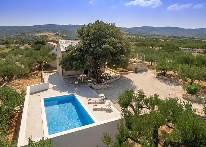 Dubrava Peaceful Getaway In An Olive Grove With Heated Pool Villa *