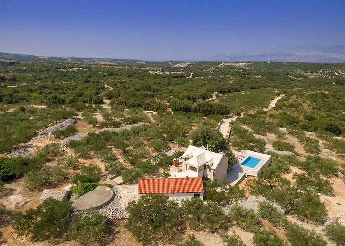 Villa Dubrava Peaceful Getaway In An Olive Grove With Heated Pool Pucisca