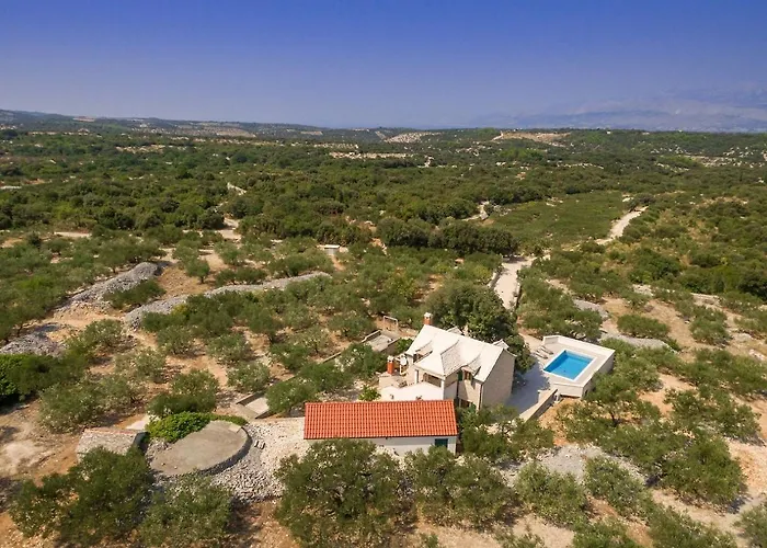 Villa Dubrava Peaceful Getaway In An Olive Grove With Heated Pool