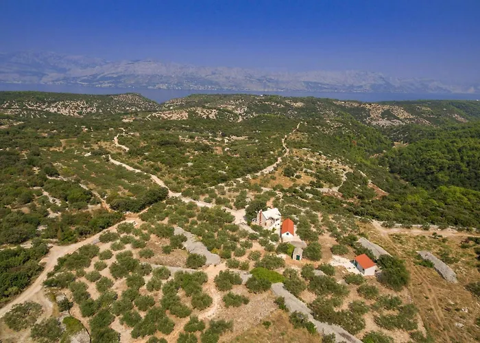 Dubrava Peaceful Getaway In An Olive Grove With Heated Pool * Pucisca