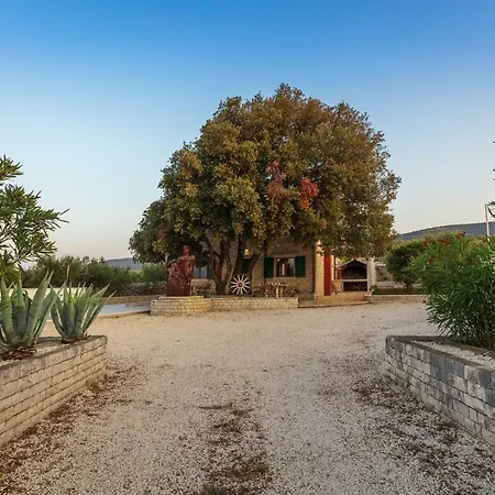 Dubrava Peaceful Getaway In An Olive Grove With Heated Pool Pucisca