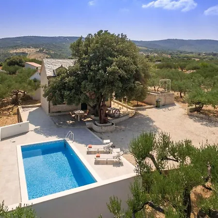 Dubrava Peaceful Getaway In An Olive Grove With Heated Pool Villa